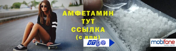 хмурый Магас